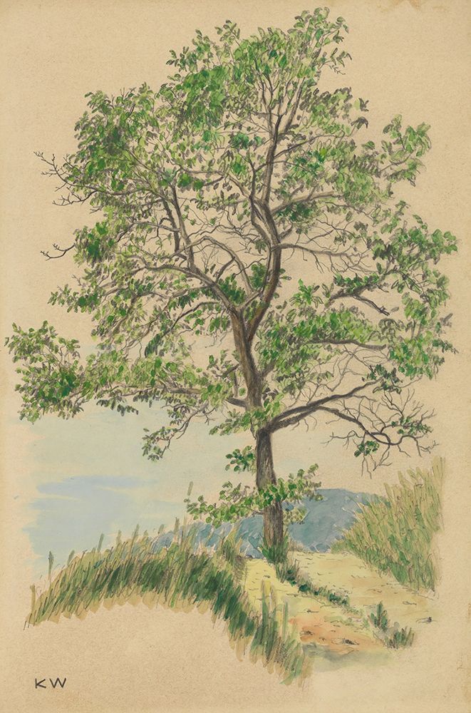 Laubbaum und Weg 1924 art print by Karl Wiener for $57.95 CAD