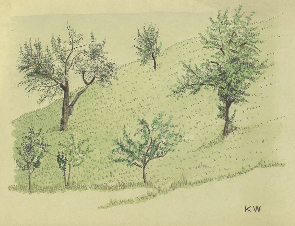 Laubbaume auf Hugel 1924 art print by Karl Wiener for $57.95 CAD