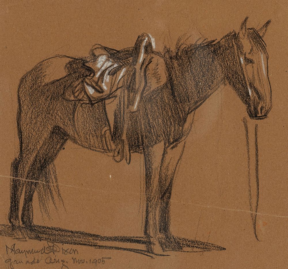Horse Study 1905 art print by Maynard Dixon for $57.95 CAD