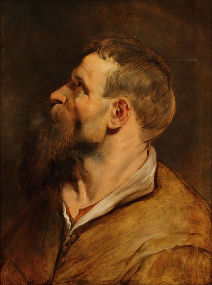 Head of a Bearded Man 1620 art print by Peter Paul Rubens for $57.95 CAD