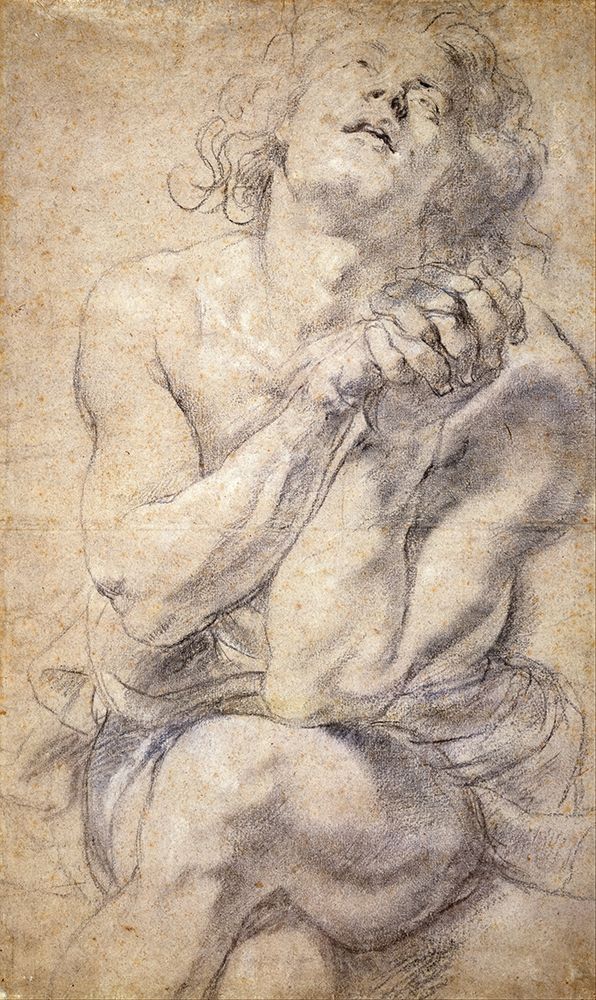 Seated Male Youth Study for Daniel art print by Peter Paul Rubens for $57.95 CAD