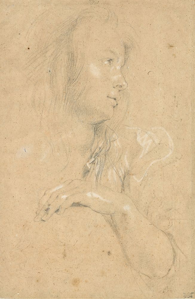 Young Woman in Profile 1613 art print by Peter Paul Rubens for $57.95 CAD