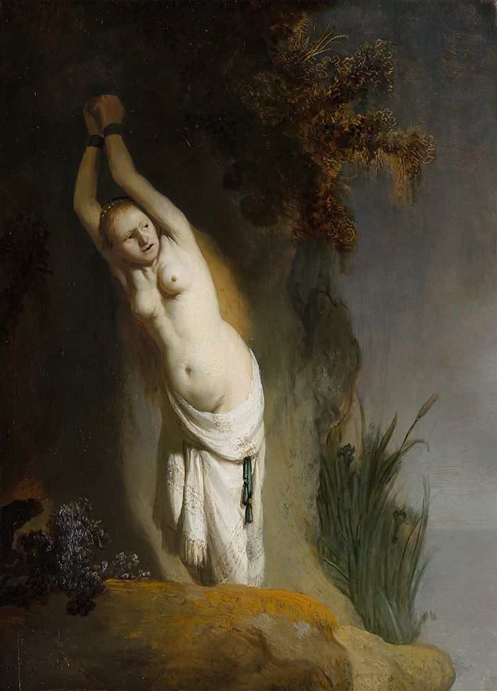 Andromeda 1630 art print by Rembrandt for $57.95 CAD