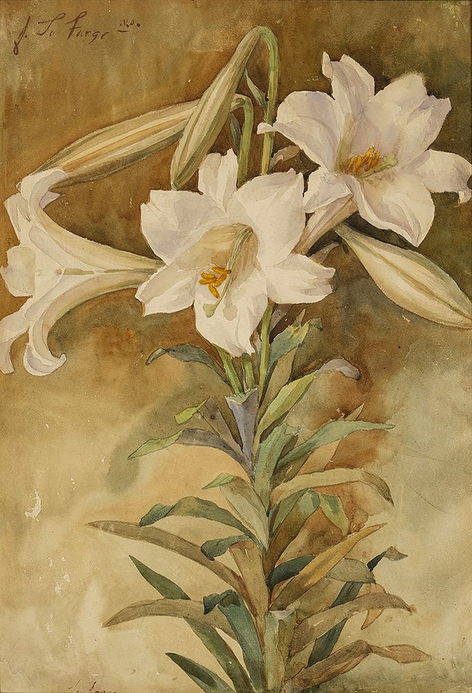 Still Life of Easter Lilies ca 1896 art print by John La Farge for $57.95 CAD