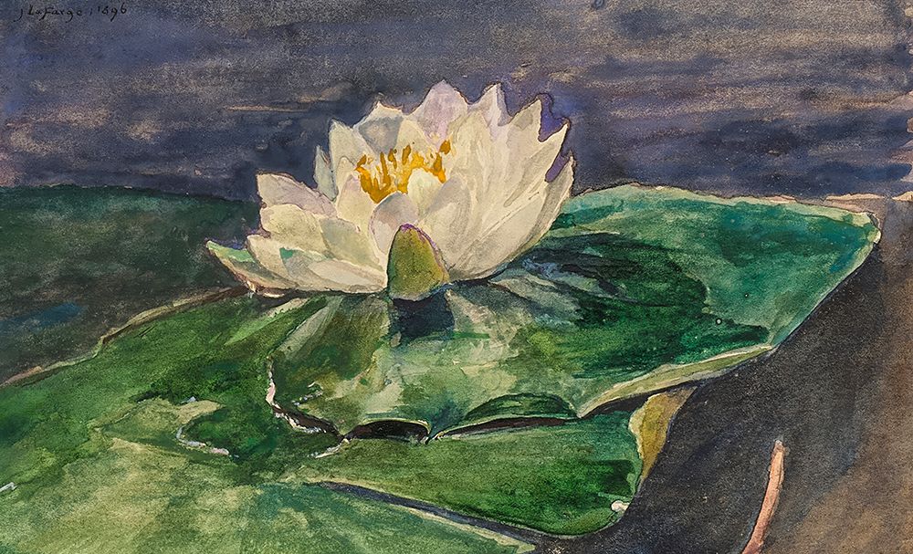 Water Lily 1896 art print by John La Farge for $57.95 CAD