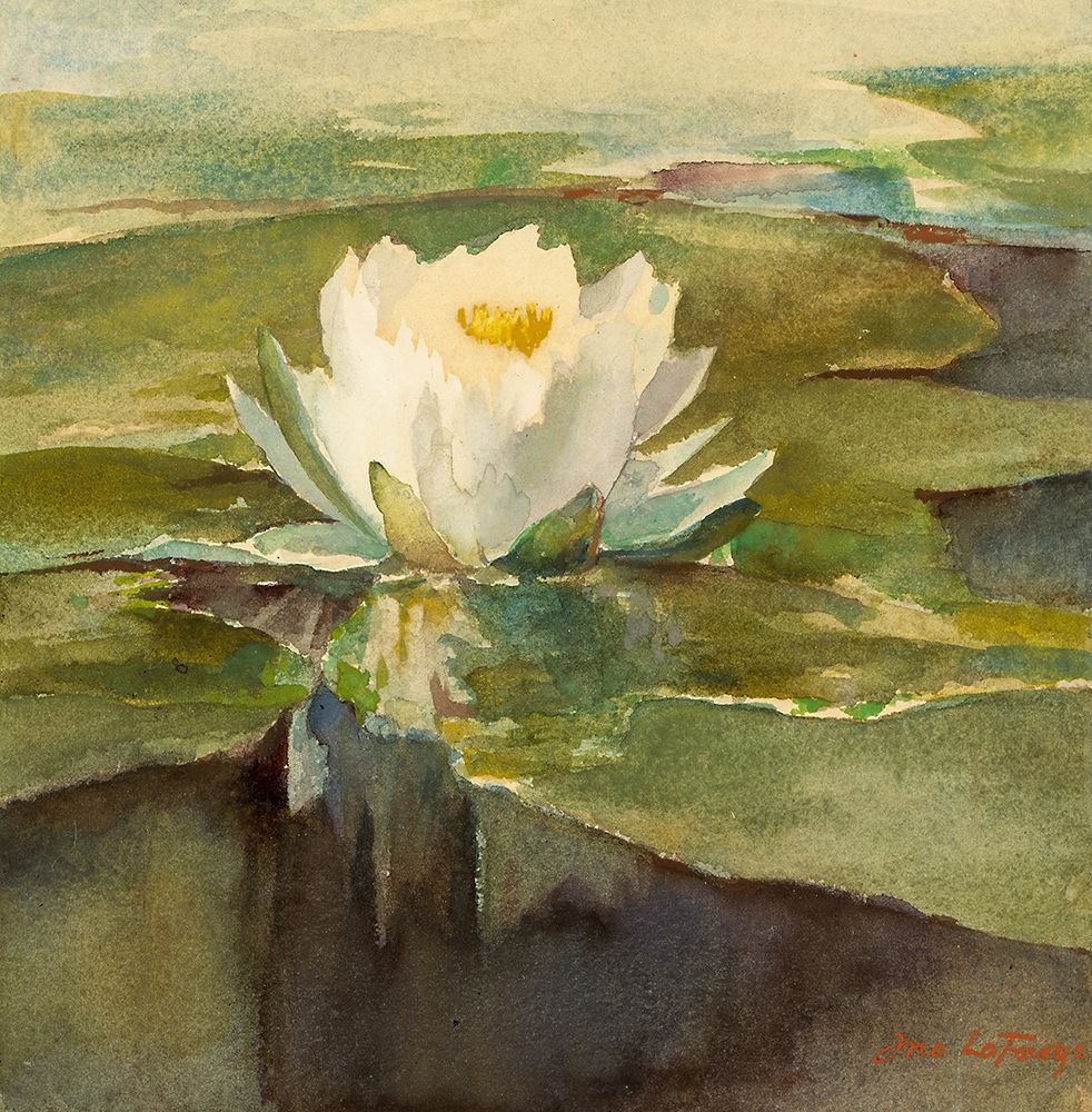 Water Lily in Sunlight ca 1883 art print by John La Farge for $57.95 CAD