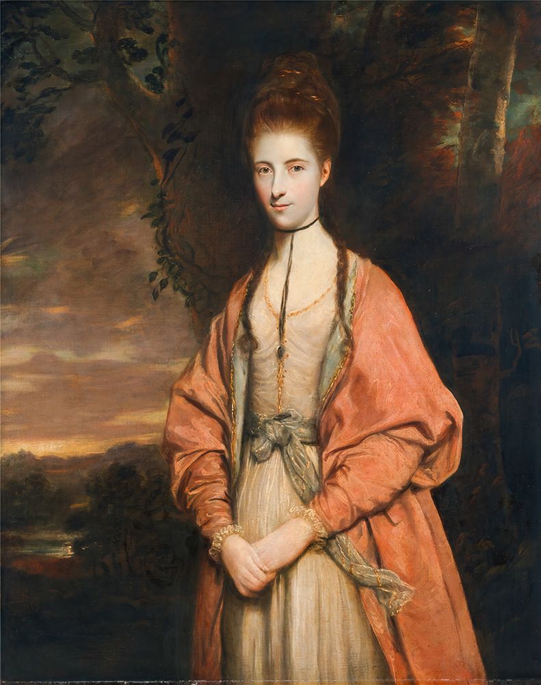 Anne Seymour Damer 1773 art print by Joshua Reynolds for $57.95 CAD