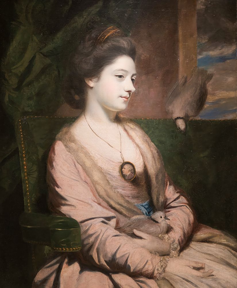 Kitty Fisher 1764 art print by Joshua Reynolds for $57.95 CAD