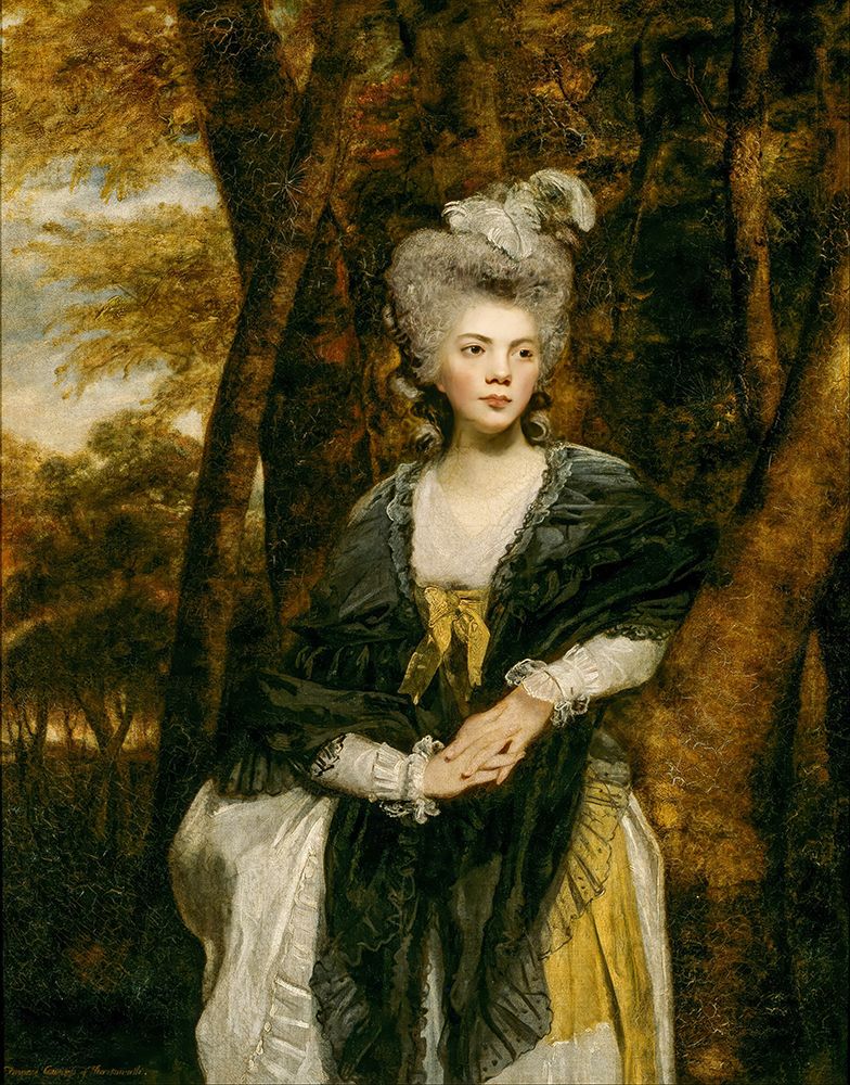 Lady Frances Finch art print by Joshua Reynolds for $57.95 CAD