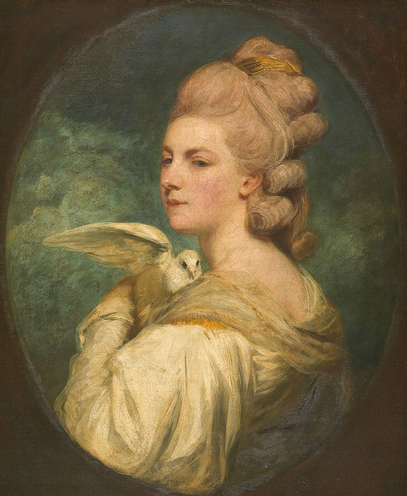 Mrs Mary Nesbitt 1781 art print by Joshua Reynolds for $57.95 CAD