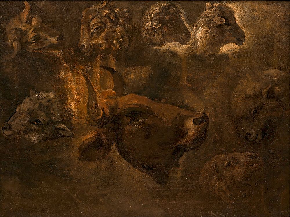 Studies of Animal Heads 1835 art print by Thomas Cole for $57.95 CAD