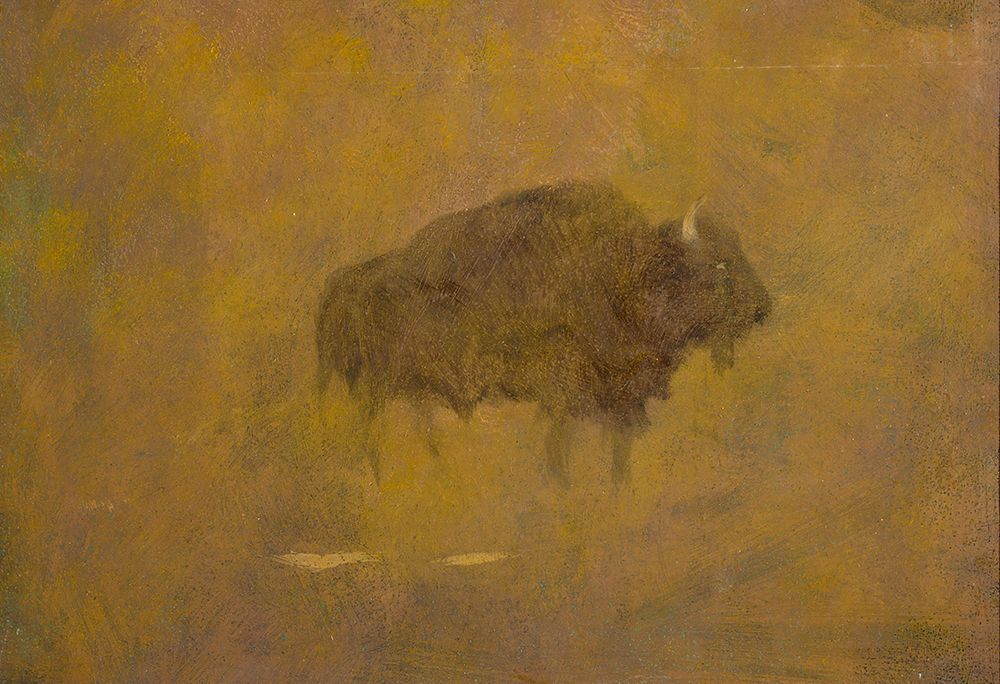 Buffalo in a Sandstorm 19th century art print by Albert Bierstadt for $57.95 CAD