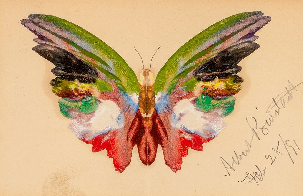 Butterfly 1891 art print by Albert Bierstadt for $57.95 CAD