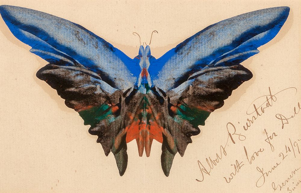 Butterfly, For Dell 1897 art print by Albert Bierstadt for $57.95 CAD