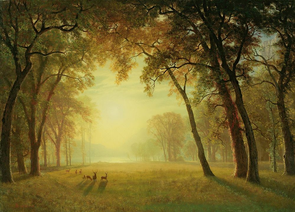 Deer in a Clearing, Yosemite art print by Albert Bierstadt for $57.95 CAD