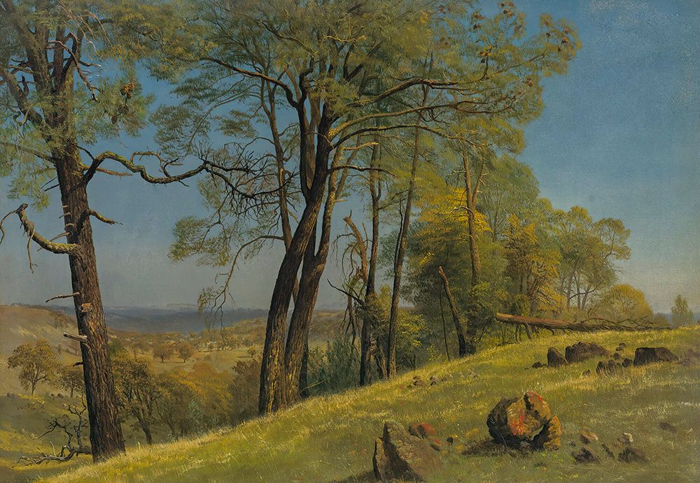 Rockland County, California ca 1872 art print by Albert Bierstadt for $57.95 CAD
