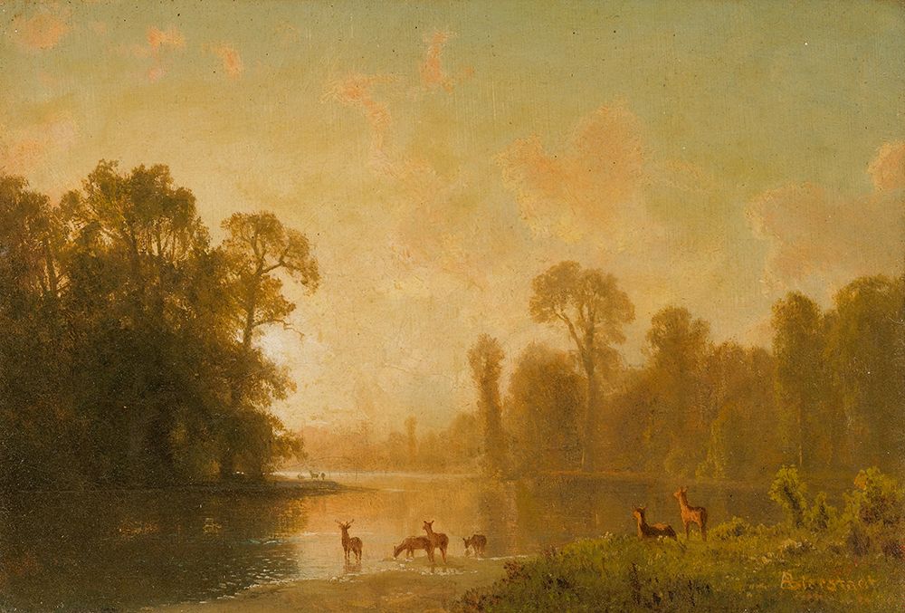 Twilight With Deer art print by Albert Bierstadt for $57.95 CAD