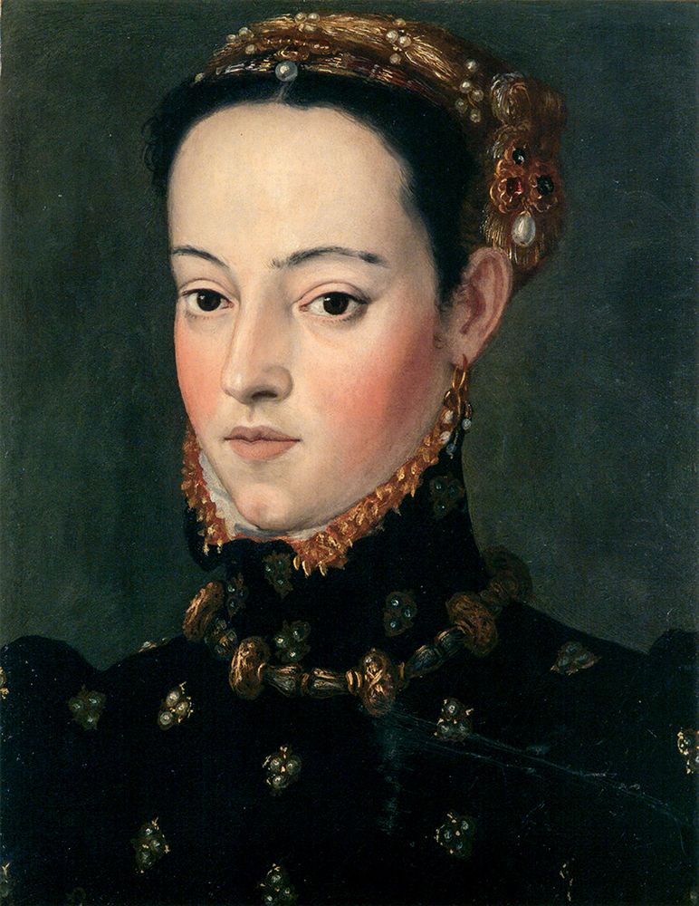 Daughter of Ferdinand I, Helena or Barbara ca 1563 art print by Giuseppe Arcimboldo for $57.95 CAD