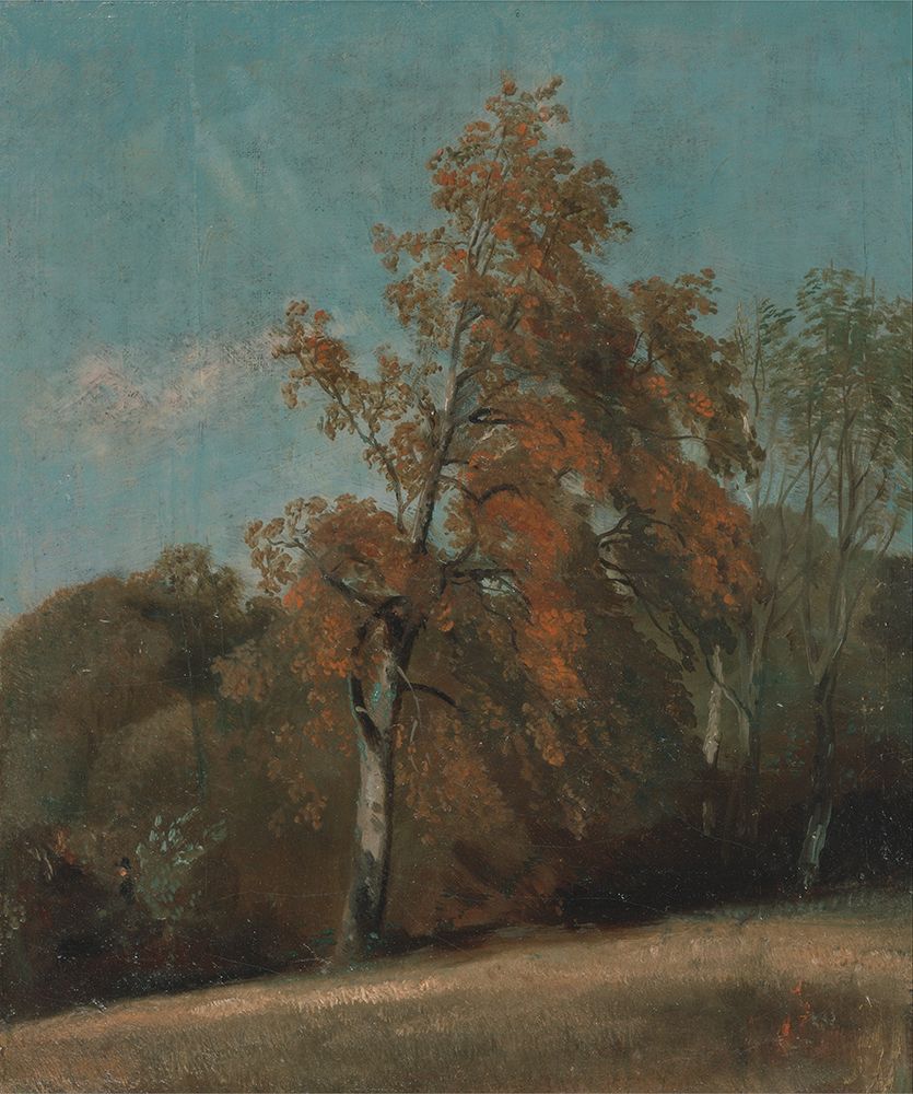 Study of an Ash Tree 1801 art print by John Constable for $57.95 CAD