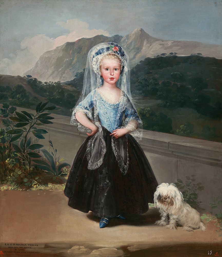 Maria Teresa de Borbon y Vallabriga 1783 art print by Francisco Goya for $57.95 CAD