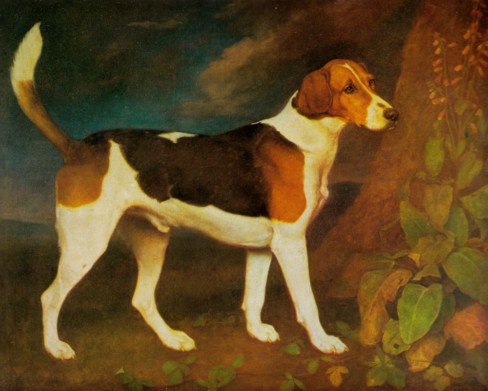 A Foxhound, Ringwood 1792 art print by George Stubbs for $57.95 CAD
