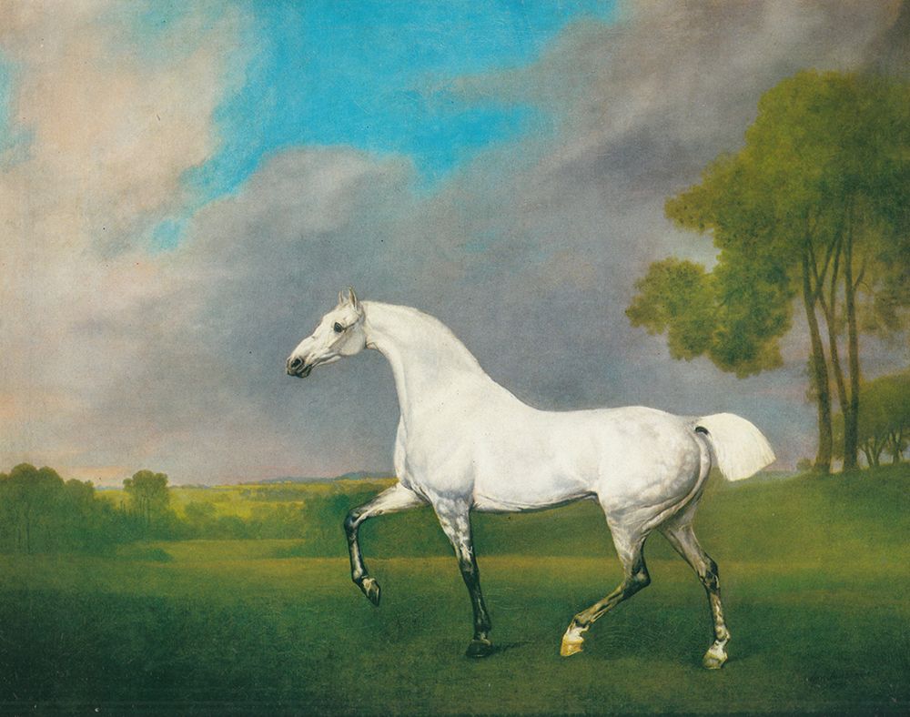 A Grey Horse 1793 art print by George Stubbs for $57.95 CAD