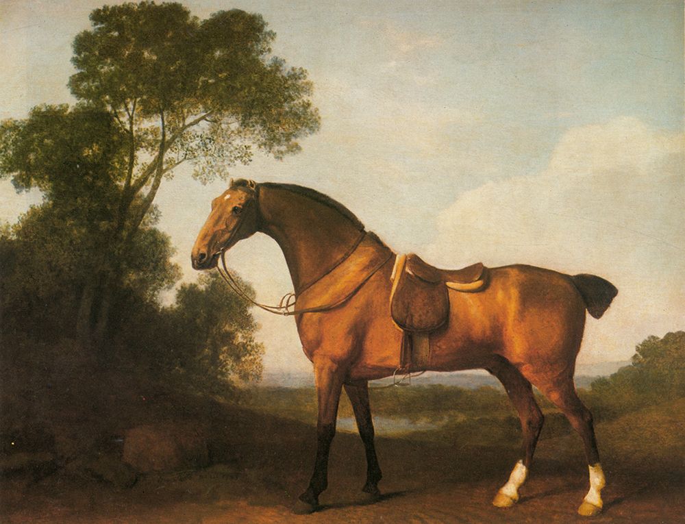 A Saddled Bay Hunter 1768 art print by George Stubbs for $57.95 CAD