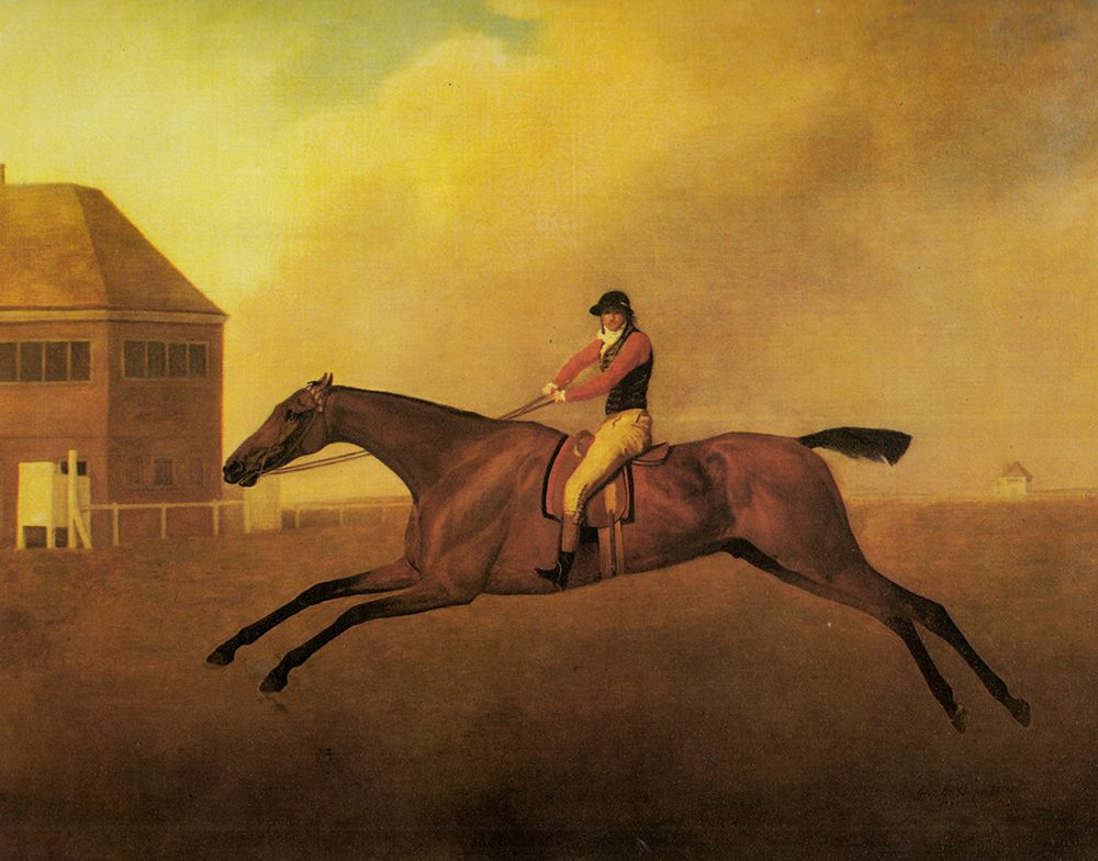 Baronet with Samuel Chifney 1791 art print by George Stubbs for $57.95 CAD