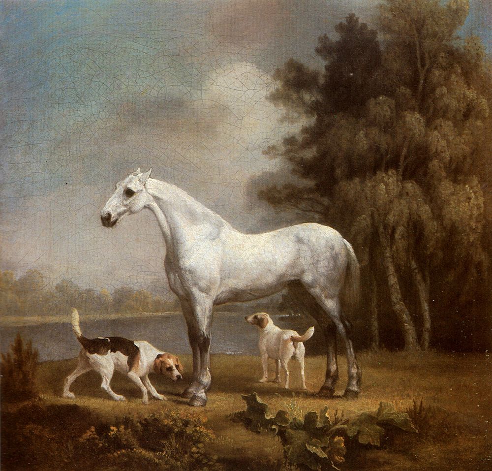 Dapple Grey Hunter and Foxhounds ca 1765 art print by George Stubbs for $57.95 CAD
