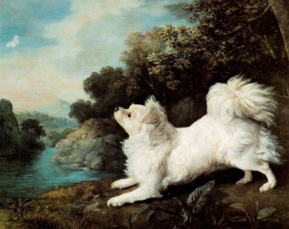 Dog and Butterfly 1775 art print by George Stubbs for $57.95 CAD
