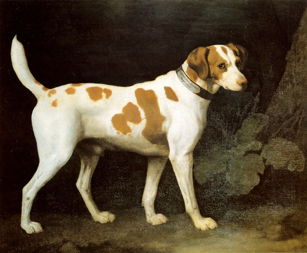 Dog Belonging to Earl of Chatham 1777 art print by George Stubbs for $57.95 CAD