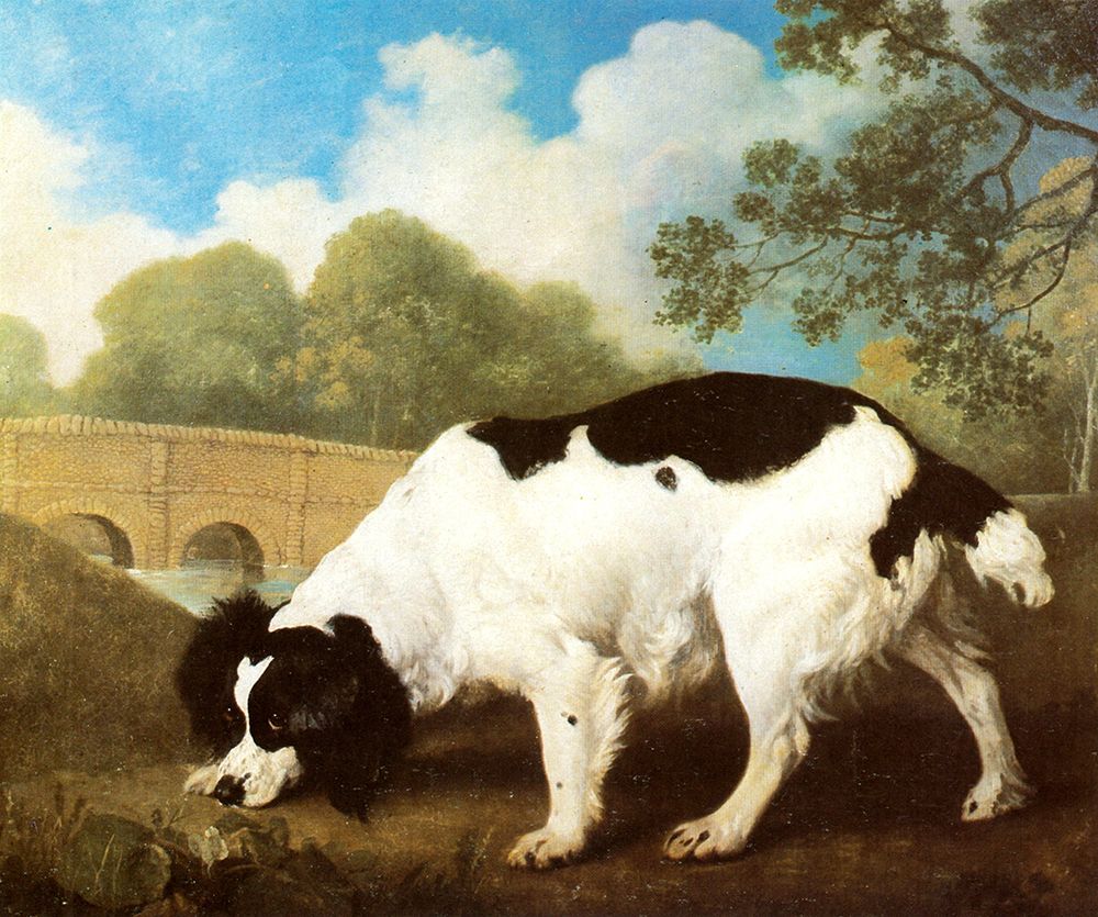 Faddle, a Spaniel 1792 art print by George Stubbs for $57.95 CAD