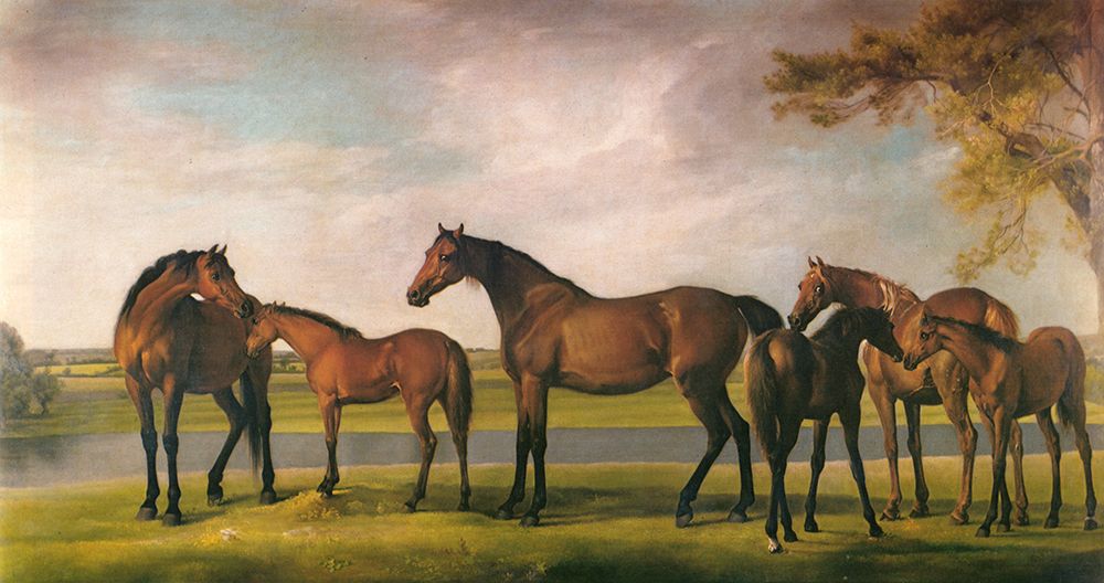 Horses Disturbed by Storm 1764 art print by George Stubbs for $57.95 CAD
