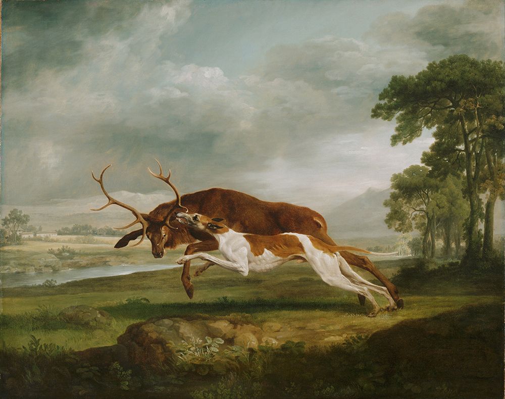 Hound Coursing a Stag ca 1762 art print by George Stubbs for $57.95 CAD