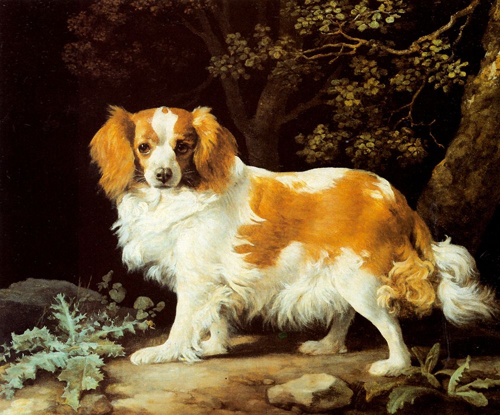 King Charles Spaniel 1776 art print by George Stubbs for $57.95 CAD
