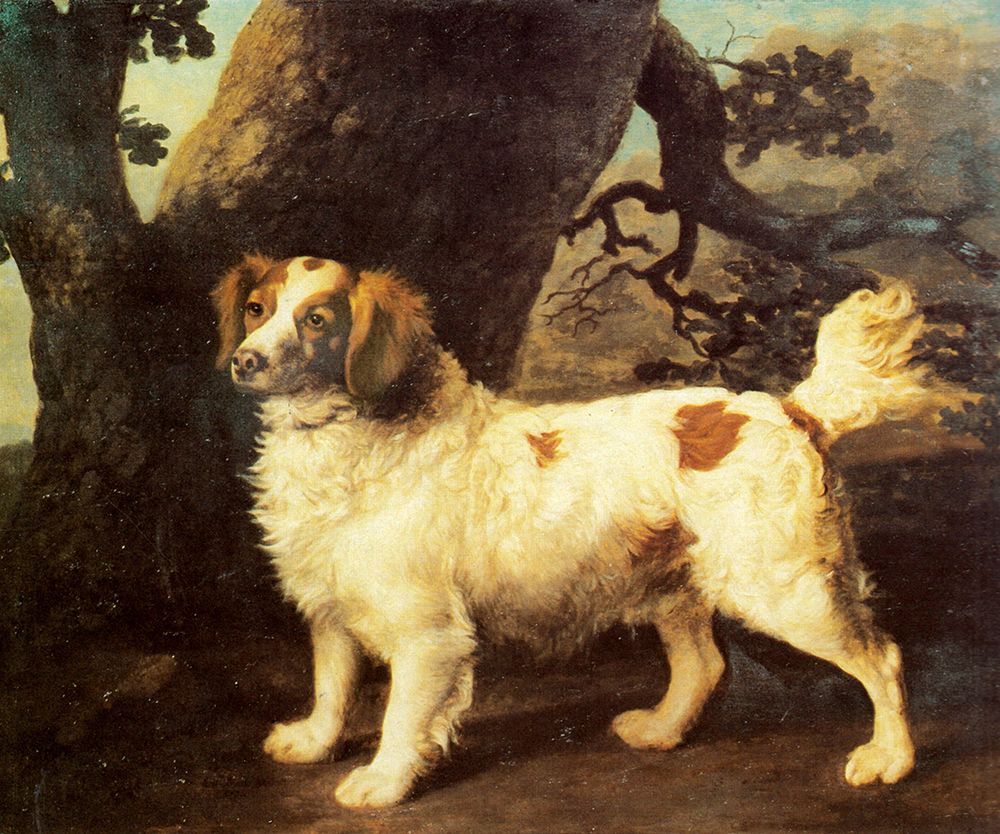 Lemon and White Spaniel 1784 art print by George Stubbs for $57.95 CAD