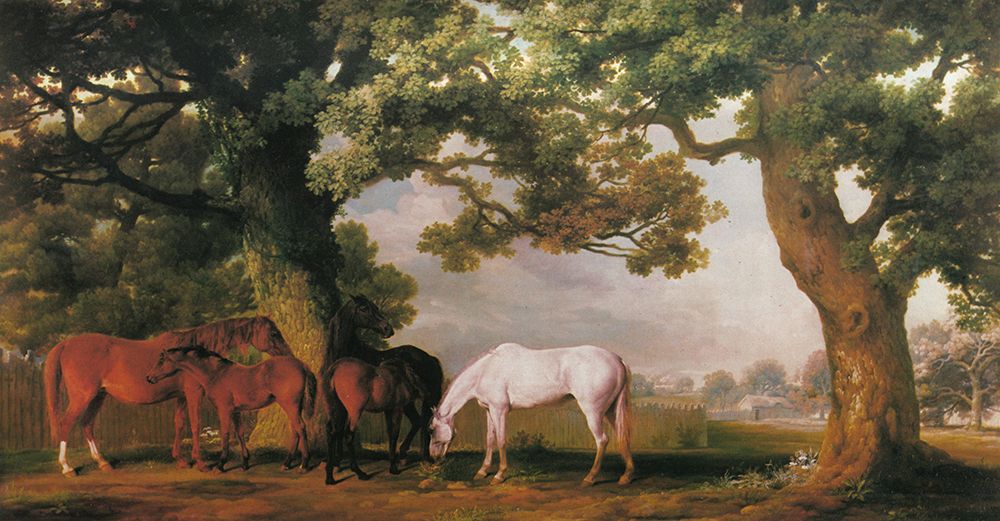 Mares and Foals in a Wooded Landscape 1760 art print by George Stubbs for $57.95 CAD