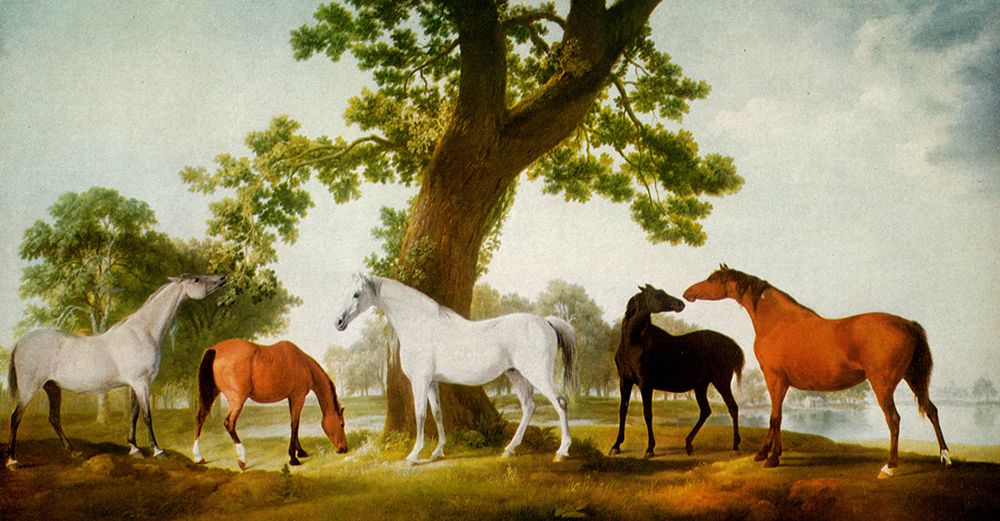 Mares by an Oak Tree 1764 art print by George Stubbs for $57.95 CAD