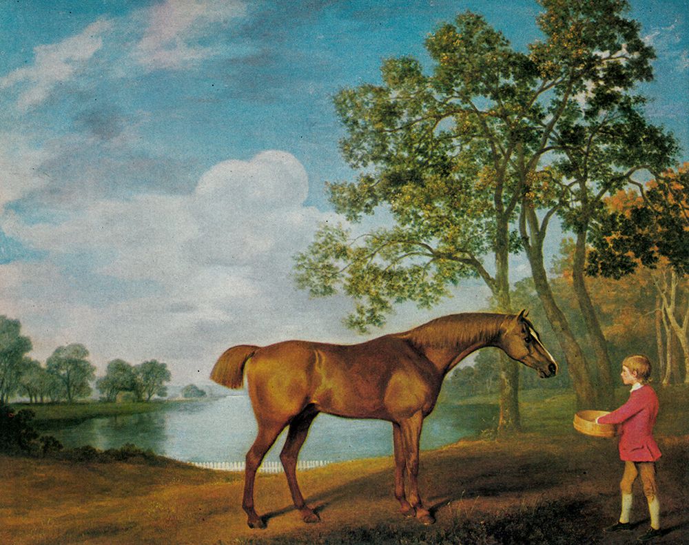 Pumpkin with a Stable Lad 1774 art print by George Stubbs for $57.95 CAD