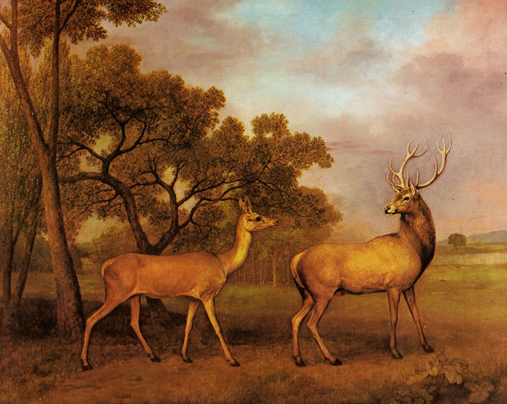 Red Deer Stag and Hind 1792 art print by George Stubbs for $57.95 CAD