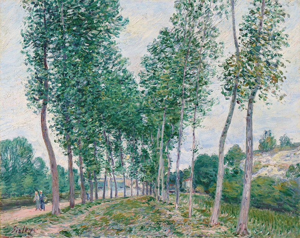 The Poplar Avenue along the Loing 1892 art print by Alfred Sisley for $57.95 CAD