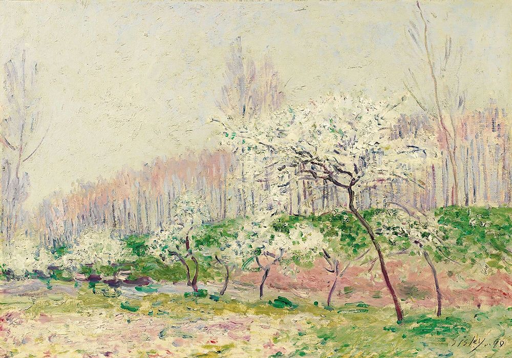 Apple Trees in Blossom (1890) art print by Alfred Sisley for $57.95 CAD