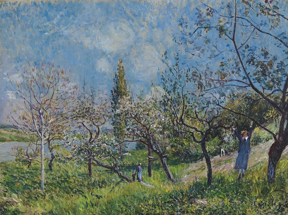 Orchard in Spring (1881) art print by Alfred Sisley for $57.95 CAD