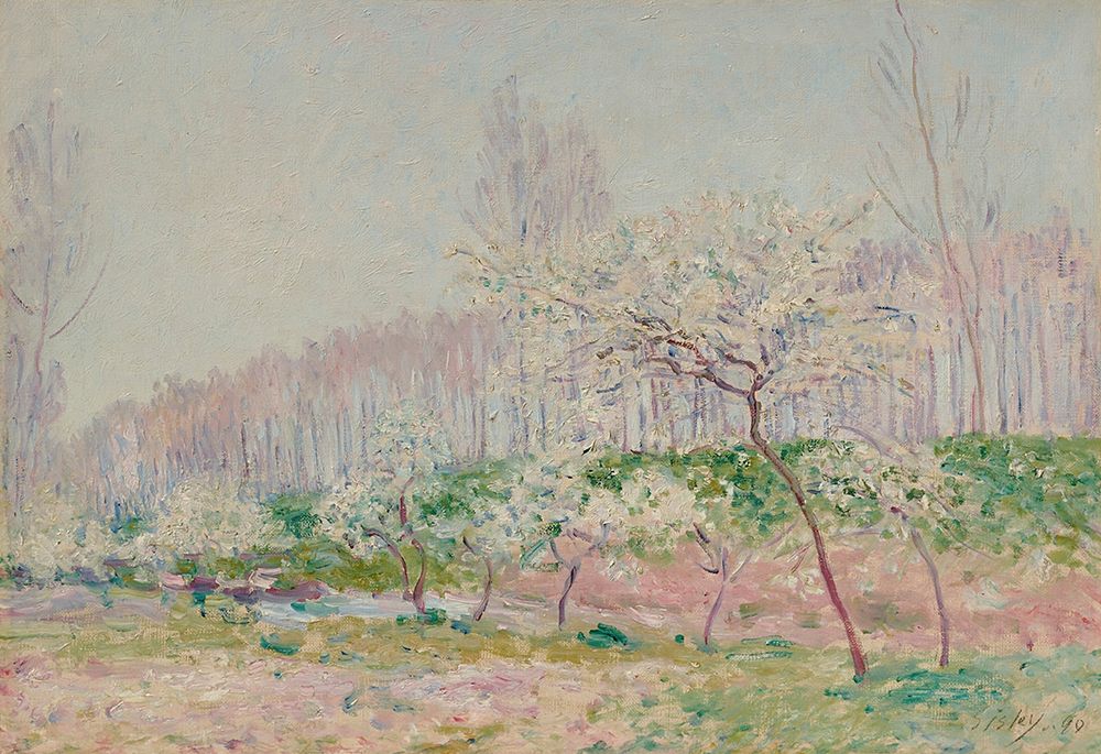 Apple Trees in Blossom (1890) art print by Alfred Sisley for $57.95 CAD