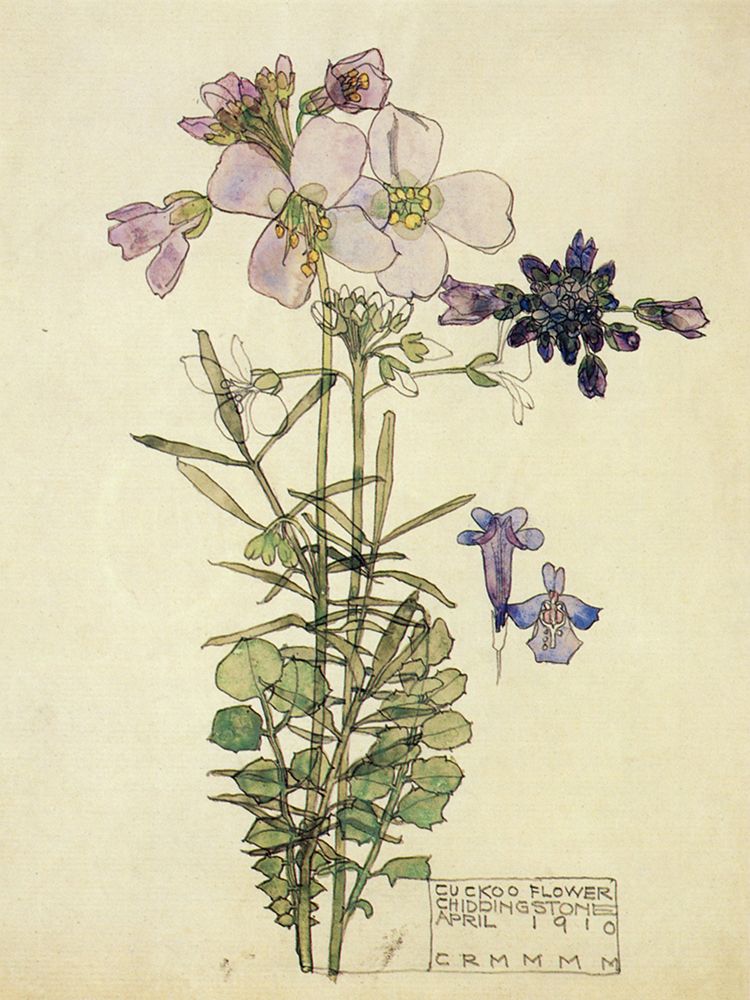Cuckoo Flower, Chiddingstone 1910 art print by Charles Rennie Mackintosh for $57.95 CAD