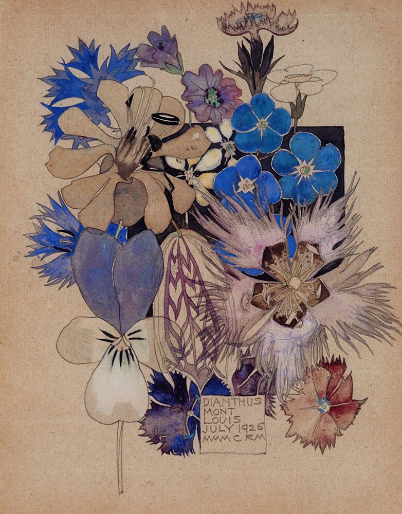 Dianthus, Mont Louis 1925 art print by Charles Rennie Mackintosh for $57.95 CAD