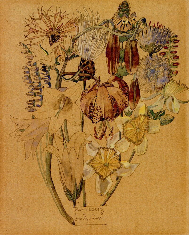 Flower Study, Mont Louis art print by Charles Rennie Mackintosh for $57.95 CAD