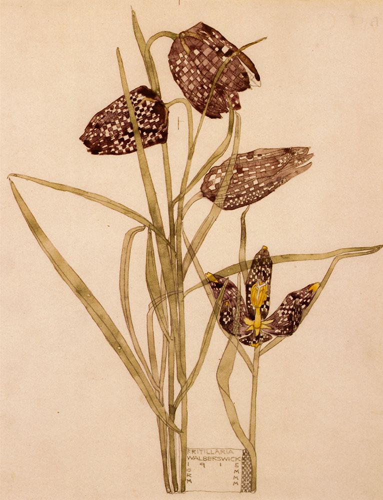 Fritillaria, Walberswick 1915 art print by Charles Rennie Mackintosh for $57.95 CAD