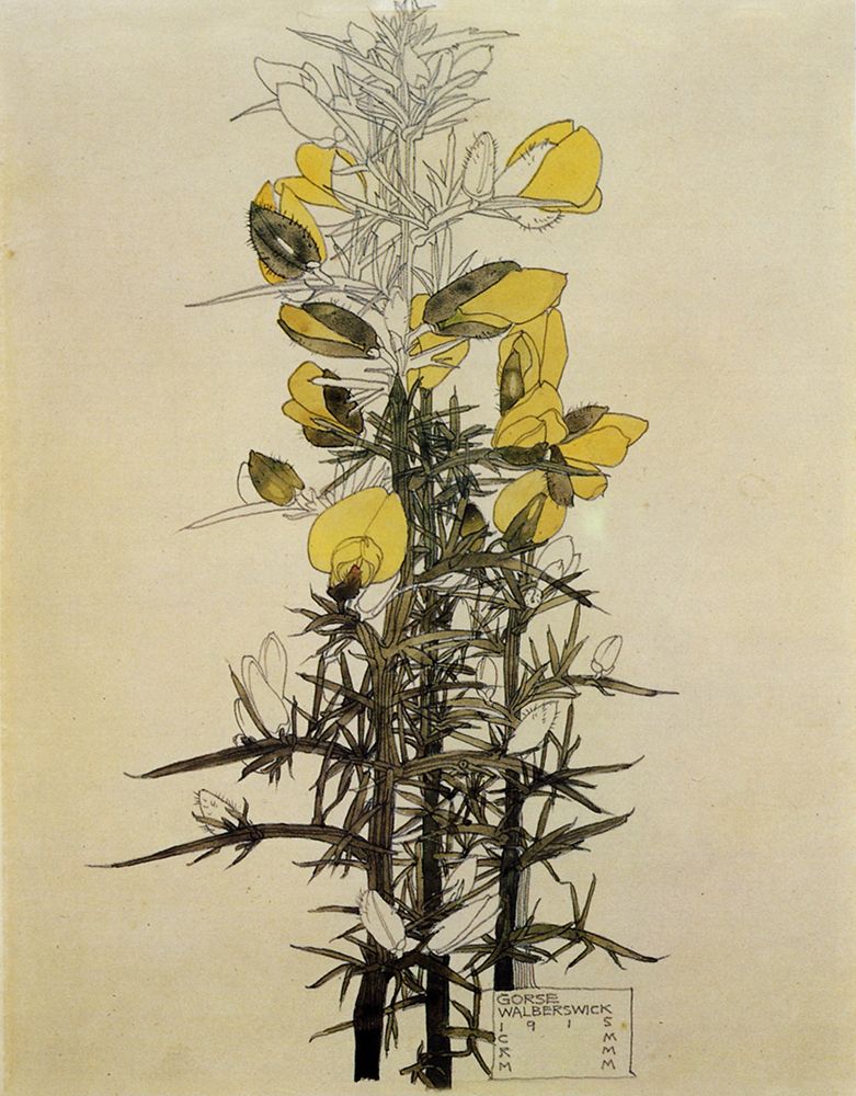 Gorse, Walberswick 1915 art print by Charles Rennie Mackintosh for $57.95 CAD