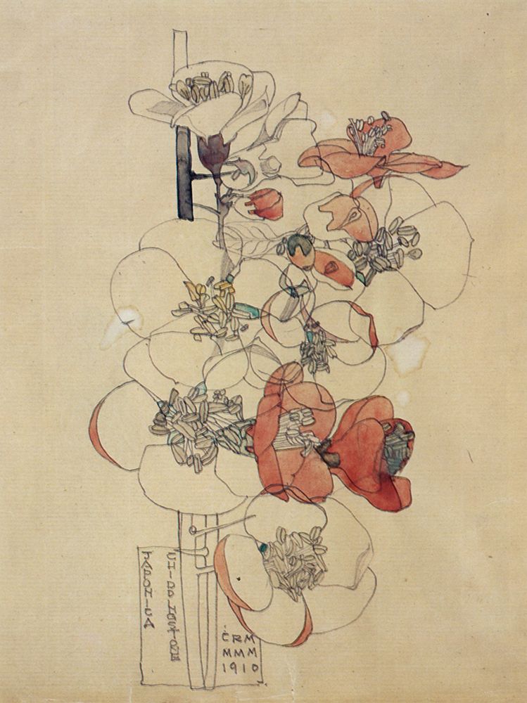 Japonica, Chiddingstone 1910 art print by Charles Rennie Mackintosh for $57.95 CAD